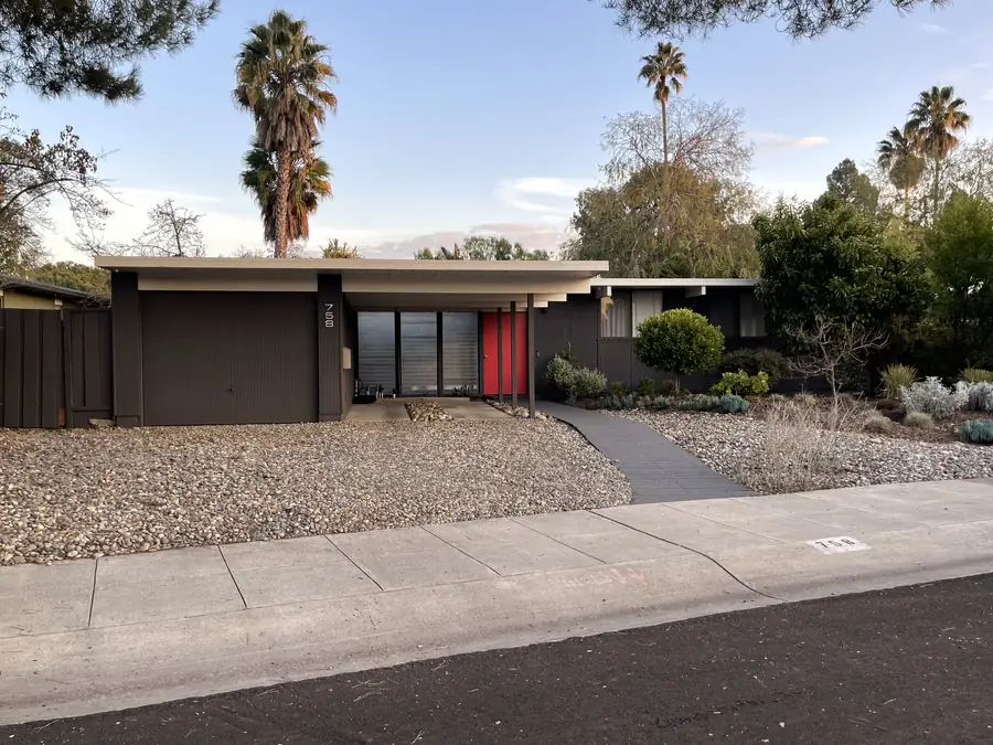 A charcoal Los Arboles Eichler with a red front door, clerestory windows and drought planting under tall palms.